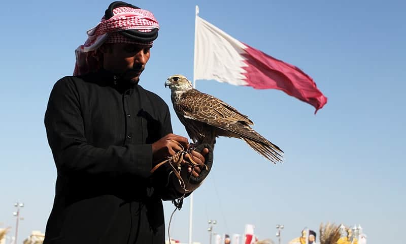 A Qatari man prepares his falcon to participate in a falcon contest during Qatar International Falcons and Hunting Festival at Sealine desert, Qatar January 29, 2016. The participants at the contest compete for the fastest falcon at attacking its prey. Scores of wealthy Gulf Arabs descend on Iraq to hunt the houbara bustard, a rare desert bird, with trained falcons through the winter months. But the kidnapping of 26 Qataris in December 2015 in the Iraqi desert while hunting, including members of the country's royal family, has highlighted the risks of pursuing the "sport of kings" at a time of heightened regional turmoil. Picture taken January 29, 2016. REUTERS/Naseem Zeitoon