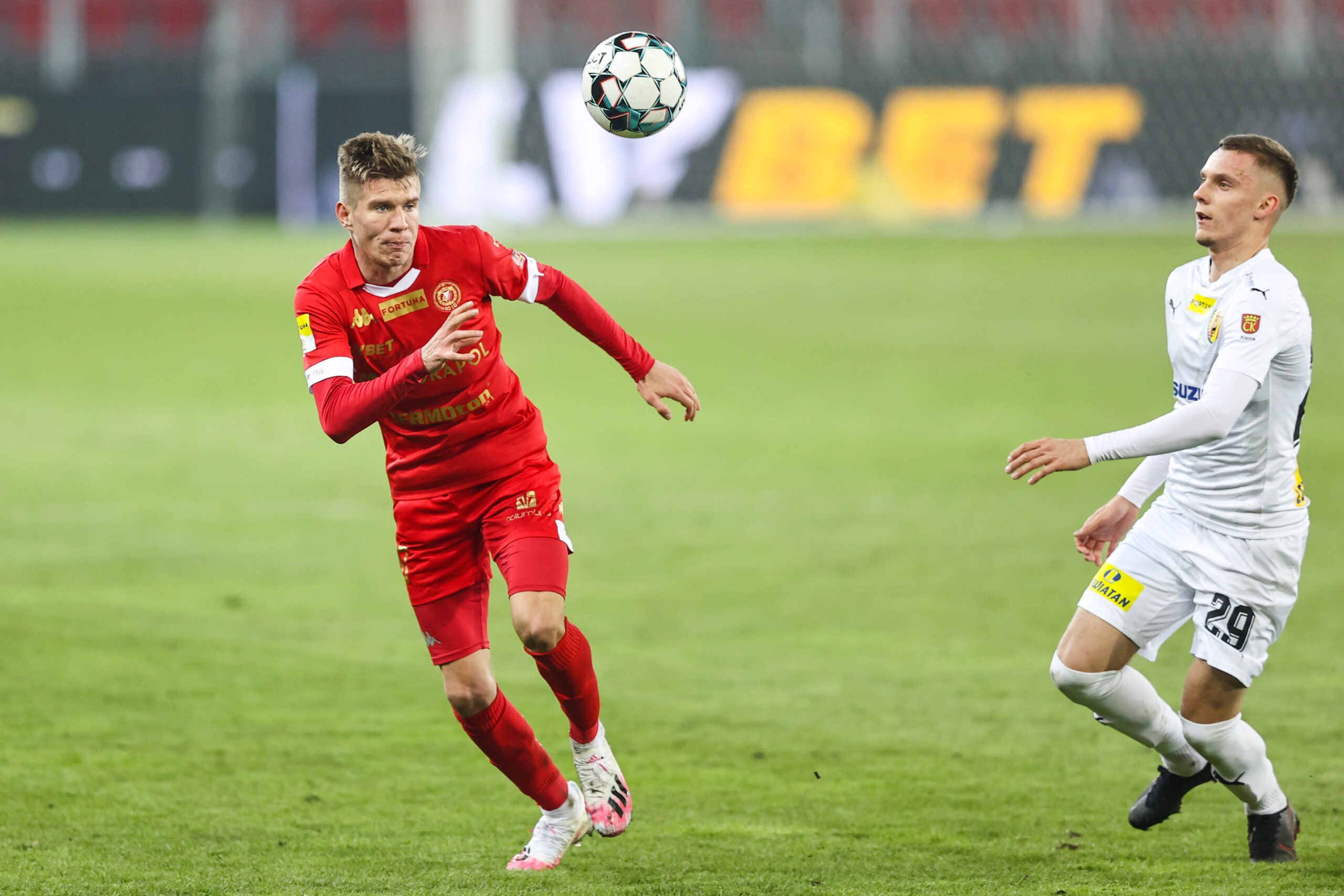 Samiec-Talar w barwach Widzewa