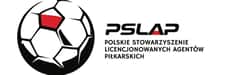 Polscy agenci piłkarscy wydali oświadczenie ws. decyzji FIFA