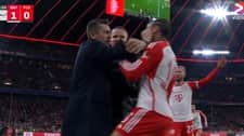 Bjelica spoliczkował piłkarza Bayernu. To się nazywa cirkus! [WIDEO]
