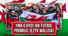 Yma o Hyd! Jak futbol pomaga ocalić walijski język i tożsamość [REPORTAŻ]