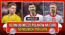 Raport kadrowiczów na pięćdziesiąt dni przed meczem Polaków na Euro [ANALIZA]