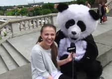 Sonda wyborcza: Duda z lekką przewagą, ale panda jest za Putinem