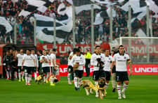 Piłkarze wychodzą na murawę, a wraz z nimi… psy. Ładna akcja Colo Colo