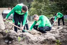 W ramach akcji „Ale Zasadził!” posadzono 3710 drzew za gole piłkarzy Warty Poznań